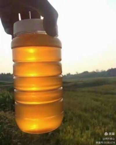 &ldquo;蜜&rdquo;源自然，臻选乡土精华。产自株洲市渌口区淦田镇成国家庭农场的纯天然中华蜂蜜，