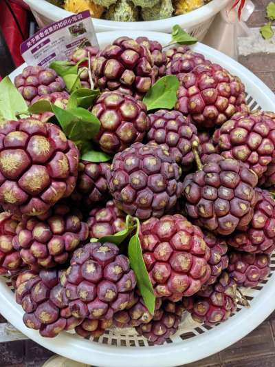 认水果，有认识的吗？