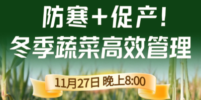 《细说农技》专家张宝林教冬季蔬菜防寒 + 促产高效管理，27 日晚 8 点！