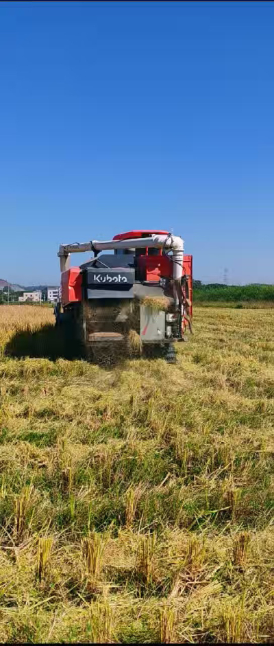 惠州基地，无人拖拉机收水稻了。
