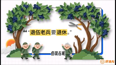 第7节：修剪决定产量（下）&mdash;&mdash;结果树的更新与疏果，课程：《蓝莓&ldquo;高产&rdquo;实战课：从选苗到丰收的10个关键点》