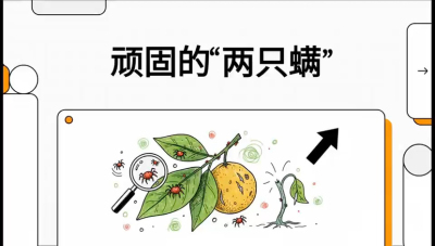 第二节：顽固&ldquo;两只满&rdquo;&mdash;&mdash;红蜘蛛与锈壁虱,课程：《柑橘十大病虫害：从入门到精通》