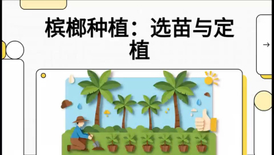 第01节：选苗与定植&mdash;&mdash;&ldquo;苗好一半收，底肥定千秋&rdquo;课程：《槟榔种植：从不懂到精通的10堂必修课》