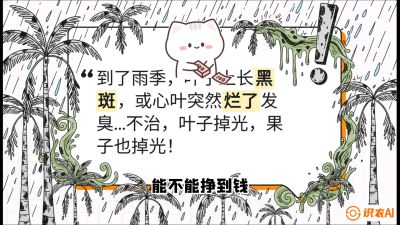 第05节：常见真菌病害&mdash;&mdash;&ldquo;炭疽与烂心，早防值千金&rdquo;《槟榔种植：从不懂到精通的10堂必修课》