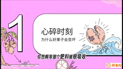 第08节：微量元素与保果&mdash;&mdash;&ldquo;补硼又补钙，果子不裂坏&rdquo;《槟榔种植：从不懂到精通的10堂必修课》