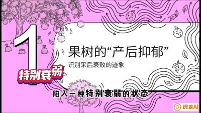 第2节：【冬肥策略】采后&ldquo;月子肥&rdquo;：大小年的精准干预术，课程：《柑橘底肥&ldquo;翻身账&rdquo;：从改土到高产的实战全书》