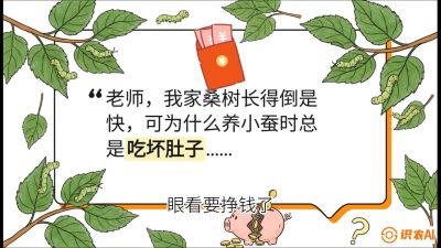 第01节：不仅仅是树&mdash;&mdash;顶级品种选配策略，课程：《桑海淘金：桑树高产与蚕桑安全进阶实战课》