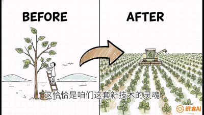 第02节：把树变成草&mdash;&mdash;&ldquo;草本化密植&rdquo;技术，课程：《桑海淘金：桑树高产与蚕桑安全进阶实战课》