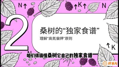 第04节：地下核动力&mdash;&mdash;桑树专用水肥一体化配方，课程：《桑海淘金：桑树高产与蚕桑安全进阶实战课》