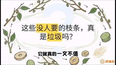 第12节：变废为宝&mdash;&mdash;循环农业实操，课程：《桑海淘金：桑树高产与蚕桑安全进阶实战课》