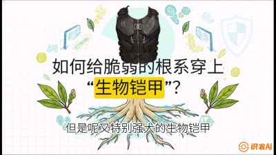 第三节：国产榴莲突围战：根系堡垒，菌根微生态构建与黄金定植窗口，课程：《国产榴莲突围战：从泰国经验到中国实操的8堂必修课（高阶实战版）》