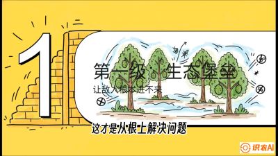 第七节：榴莲防御战：病虫害三级立体防控，疫霉菌与虫害的立体封锁线，课程：《国产榴莲突围战：从泰国经验到中国实操的8堂必修课（高阶实战版）》