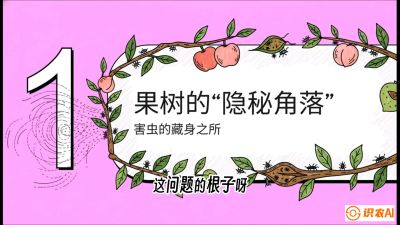 第3节：无人机专治&ldquo;打不透&rdquo;&mdash;&mdash;果树与高杆作物的穿透技巧，课程：《无人机植保搞钱必修课：从&ldquo;瞎飞&rdquo;到&ldquo;懂行&rdquo;的6步进阶》