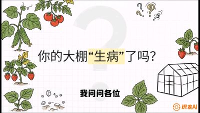 第2节（解毒篇）： 大棚里的&ldquo;红白绿&rdquo;警报&mdash;&mdash;读懂土壤盐渍化的求救信号，课程：《揭秘土壤的秘密：让土地帮你赚钱》#识农AI