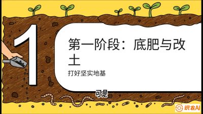 第6节（统筹篇）： 省钱又增产的&ldquo;黄金配比&rdquo;&mdash;&mdash;不同作物全年的养土实操方案，课程：《揭秘土壤的秘密：让土地帮你赚钱》#识农AI