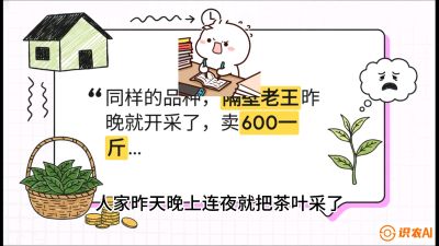 第01节（抢早篇）：与老天爷抢饭吃：如何利用&ldquo;温差阈值&rdquo;让头采茶提前5天上市？，课程：《茶金时代：从&ldquo;看天吃饭&rdquo;到&ldquo;精准控局&rdquo;的茶叶高产提质实战课》