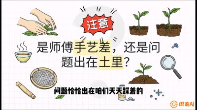 第02节（土肥篇）：告别&ldquo;苦涩水味&rdquo;：揭秘&ldquo;碳氮比&rdquo;调控术，种出自带兰花香的好茶底，课程：《茶金时代：从&ldquo;看天吃饭&rdquo;到&ldquo;精准控局&rdquo;的茶叶高产提质实战课》