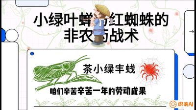 第03节（虫害篇）：看不见的吸血鬼：小绿叶蝉与红蜘蛛的&ldquo;非农药&rdquo;团灭战术（抗性治理），课程：《茶金时代：从&ldquo;看天吃饭&rdquo;到&ldquo;精准控局&rdquo;的茶叶高产提质实战课》
