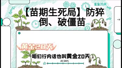 第2节：【苗期生死局】防猝倒、破僵苗，决定后期产量的&ldquo;黄金20天&rdquo;，课程：《辣椒种植实战特训营，从工业辣椒到精品小米辣，教你如何把&ldquo;草&rdquo;种成&ldquo;金&rdquo;》