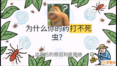 第4节：【虫害歼灭战】打不死的蓟马、隐形的茶黄螨：抗性时代的&ldquo;混配绝杀&rdquo;，课程：《辣椒种植实战特训营，从工业辣椒到精品小米辣，教你如何把&ldquo;草&rdquo;种成&ldquo;金&rdquo;》