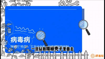 第5节：【病毒病阻击】辣椒的&ldquo;癌症&rdquo;怎么治？从&ldquo;绝收恐慌&rdquo;到&ldquo;带毒生产&rdquo;的逆转术，课程：《辣椒种植实战特训营，从工业辣椒到精品小米辣，教你如何把&ldquo;草&rdquo;种成&ldquo;金&rdquo;》