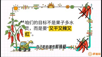 第7节：【工业辣椒专场】追求极致辣度！干物质提升与机械化采收的&ldquo;催红秘籍&rdquo;，课程：《辣椒种植实战特训营，从工业辣椒到精品小米辣，教你如何把&ldquo;草&rdquo;种成&ldquo;金&rdquo;》