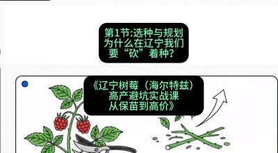 第一节： 选种与规划&mdash;&mdash;为什么在辽宁我们要&ldquo;砍&rdquo;着种？，课程：《辽宁树莓（海尔特兹）高产避坑实战课：从保苗到高价》