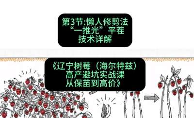 第三节： 懒人修剪法&mdash;&mdash;&ldquo;一推光&rdquo;平茬技术详解，课程：《辽宁树莓（海尔特兹）高产避坑实战课：从保苗到高价》
