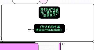 第4节：【替代方案】矿物油与广谱杀菌剂的&ldquo;混搭艺术&rdquo;，课程：《经济作物冬季清园&middot;实战防坑指南》#识农AI