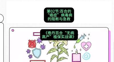 第02节：百合的&ldquo;癌症&rdquo;&mdash;&mdash;病毒病的阻断与急救，课程：《卷丹百合&ldquo;无病高产&rdquo;植保实战课》#识农AI