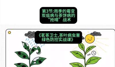 第03节：雨季的霉变&mdash;&mdash;炭疽病与茶饼病的&ldquo;抢晴&rdquo;战术，课程：《茗茶卫士&mdash;&mdash;茶叶病虫害绿色防控实战课》#识农AI