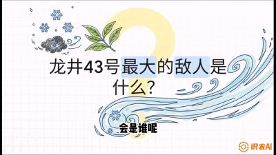 第04节：龙井双璧&mdash;&mdash;龙井43与群体种的差异化护养（重点），课程：《茗茶卫士&mdash;&mdash;茶叶病虫害绿色防控实战课》#识农AI