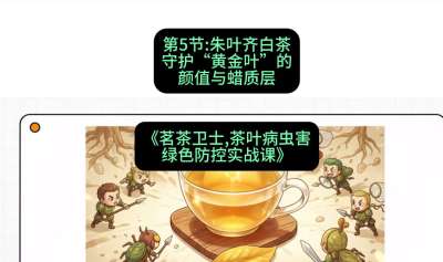 第05节：朱叶齐白茶&mdash;&mdash;守护&ldquo;黄金叶&rdquo;的颜值与蜡质层（重点），课程：《茗茶卫士&mdash;&mdash;茶叶病虫害绿色防控实战课》#识农AI