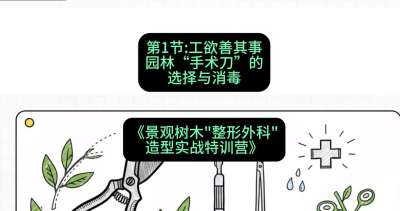 第01节：工欲善其事&mdash;&mdash;园林&ldquo;手术刀&rdquo;的选择与消毒，课程：《景观树木&ldquo;整形外科&rdquo;造型实战特训营》#识农AI