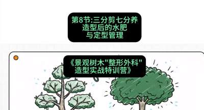第08节：三分剪七分养&mdash;&mdash;造型后的水肥与定型管理，课程：《景观树木&ldquo;整形外科&rdquo;造型实战特训营》#识农AI